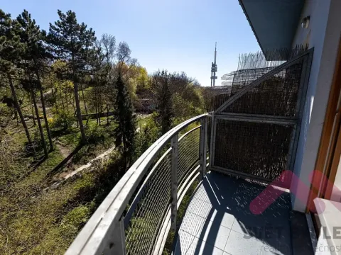 Pronájem bytu 2+kk, Praha - Žižkov, Jeseniova, 53 m2