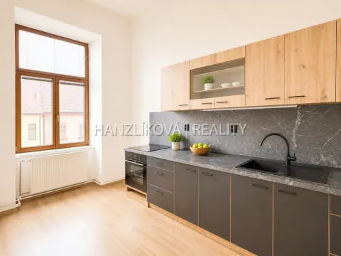 Pronájem bytu 1+1, České Budějovice - České Budějovice 6, Žižkova tř., 49 m2