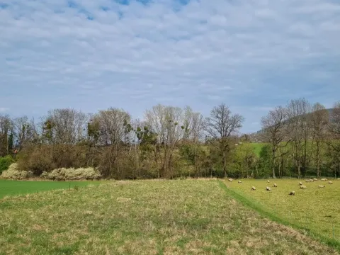 Pronájem pole, Štramberk, Novojičínská, 850 m2