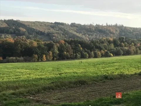 Prodej pozemku pro bydlení, Čavisov, 885 m2