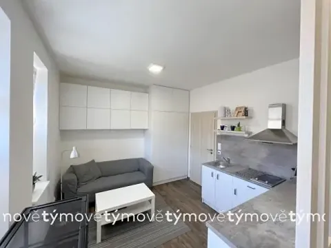 Pronájem bytu 1+kk, Pardubice, Na Okrouhlíku, 27 m2