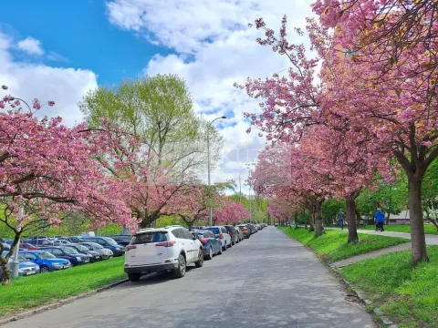 Pronájem bytu 1+kk, Praha - Braník, Nad lesním divadlem, 24 m2