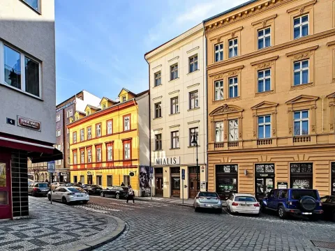 Prodej bytu 3+kk, Praha - Nové Město, Petrská, 85 m2