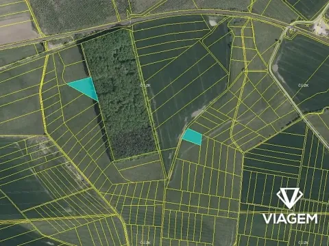 Prodej podílu pole, Kovač, 2633 m2