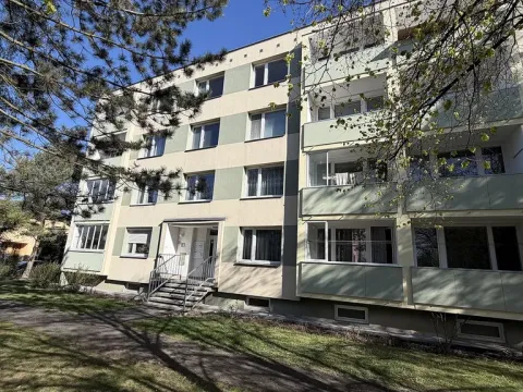Prodej bytu 1+1, Louny, Březinova, 36 m2