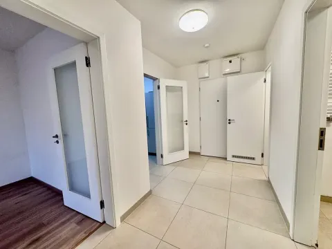 Prodej bytu 2+1, Brno, U Červeného mlýna, 57 m2