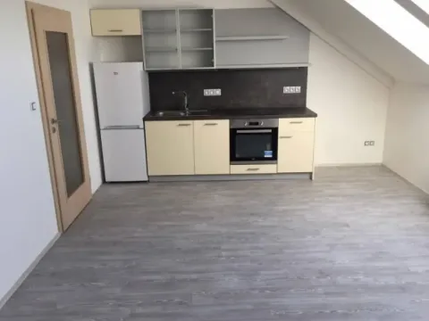 Pronájem bytu 1+kk, Praha - Žižkov, 32 m2