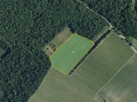 Prodej sadu/vinice, Bulhary, 63228 m2