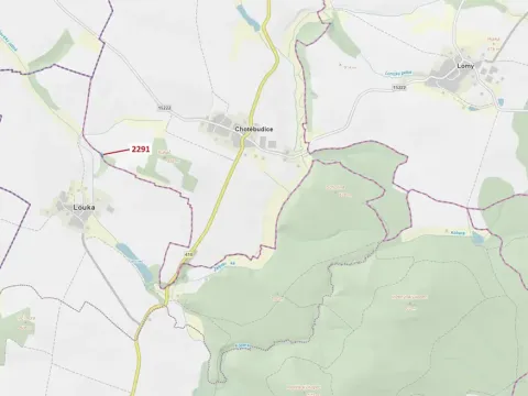 Dražba lesa, Chotěbudice, 529 m2