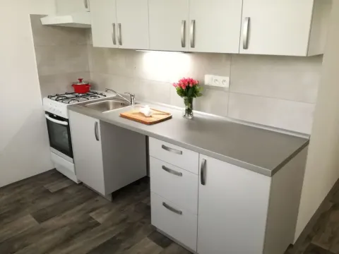 Pronájem bytu 2+1, Ostrava - Hrabůvka, Dr. Martínka, 50 m2