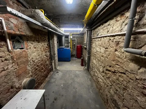 Pronájem - jiné, Praha - Holešovice, Schnirchova, 12 m2