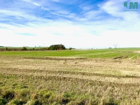 Prodej komerčního pozemku, Želetava - Šašovice, 1354 m2