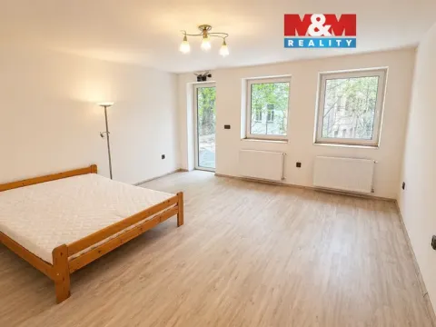 Pronájem bytu 1+kk, Liberec - Liberec I-Staré Město, Železná, 30 m2