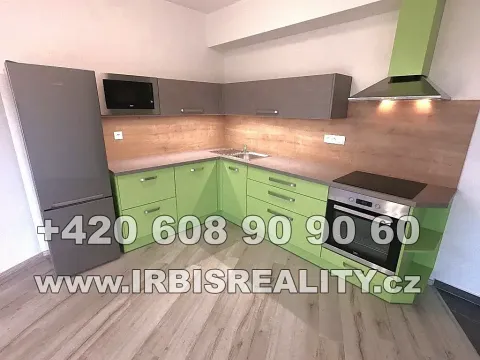 Pronájem bytu 2+kk, Plzeň, Papírnická, 50 m2