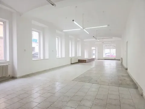 Pronájem obchodního prostoru, Teplice, Dubská, 188 m2