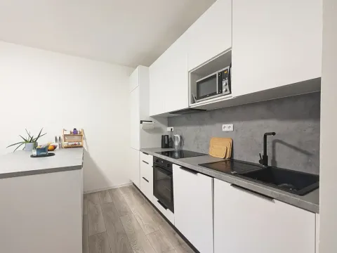 Pronájem bytu 3+kk, Mladá Boleslav, Žižkova, 90 m2