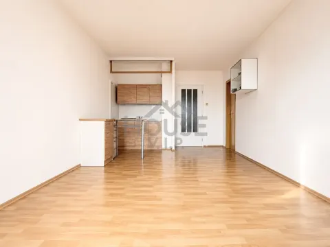 Prodej bytu 1+kk, Praha - Chodov, Nad Opatovem, 29 m2