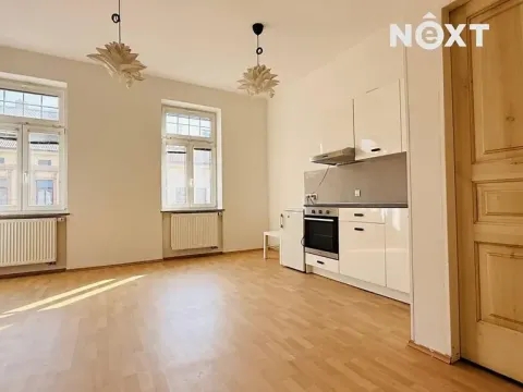 Pronájem bytu 1+kk, České Budějovice, Dobrovodská, 29 m2