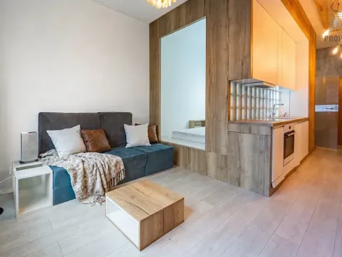 Prodej bytu 1+kk, Brno, Příkop, 31 m2