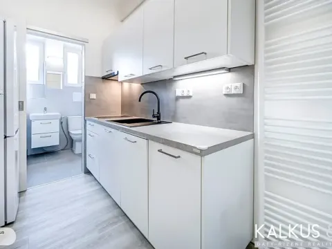 Pronájem bytu 2+kk, Hradec Králové, Střelecká, 58 m2