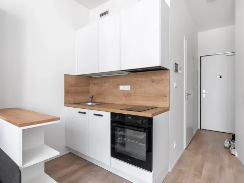 Pronájem bytu 1+kk, Praha - Smíchov, Plzeňská, 21 m2