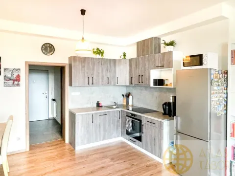 Prodej bytu 2+kk, Tábor, Kpt. Jaroše, 80 m2