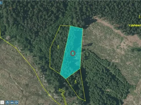 Prodej lesa, Načeradec - Horní Lhota, 3382 m2