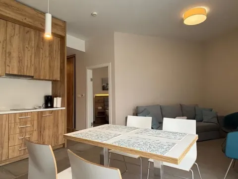 Prodej apartmánu, Dolní Morava, 44 m2
