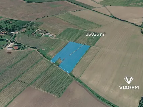 Prodej podílu pole, Chotiněves, 12275 m2