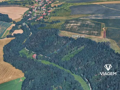 Prodej lesa, Jindřichov, 1945 m2