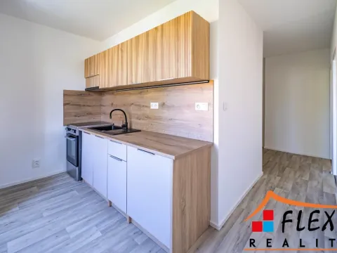 Pronájem bytu 2+1, Karviná, Borovského, 50 m2