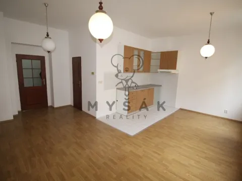 Pronájem bytu 2+kk, České Budějovice, Holečkova, 56 m2