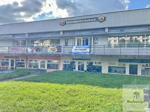 Prodej obchodního prostoru, Ústí nad Labem - Ústí nad Labem-centrum, SNP, 1786 m2