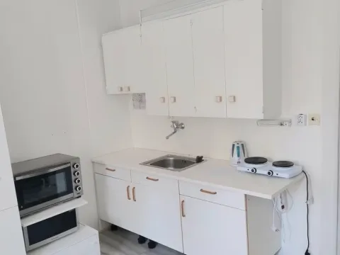 Pronájem bytu 1+kk, Plzeň - Skvrňany, Vejprnická, 20 m2