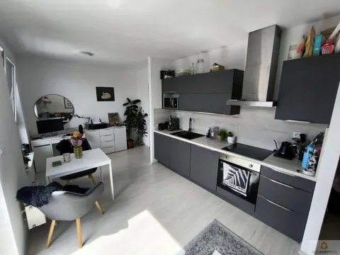 Pronájem bytu 1+kk, Olomouc, Eduarda Hamburgera, 32 m2