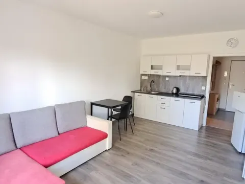 Pronájem bytu 1+kk, Polná, Pojmannova, 33 m2