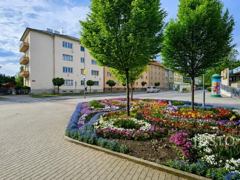 Prodej bytu 3+1, Písek - Budějovické Předměstí, Baarova, 80 m2