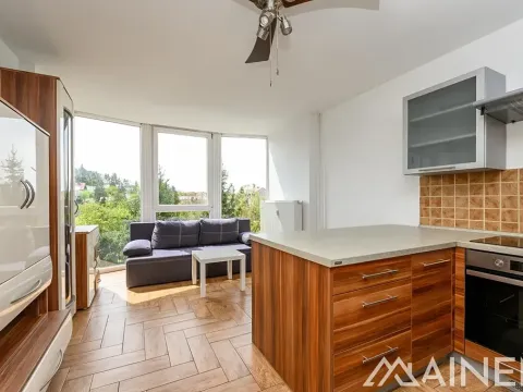 Pronájem bytu 2+kk, Plzeň, Klatovská, 40 m2
