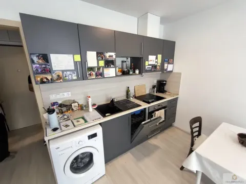 Pronájem bytu 1+kk, Olomouc, Eduarda Hamburgera, 31 m2