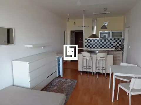 Pronájem bytu 1+kk, Olomouc, Mošnerova, 37 m2