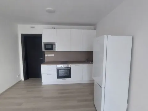 Pronájem bytu 1+kk, Olomouc, Třída Jiřího Pelikána, 35 m2