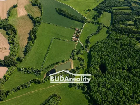 Prodej pole, Bojkovice, Luhačovická, 68000 m2