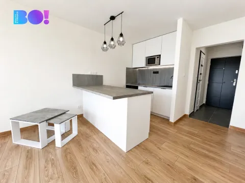Pronájem bytu 1+kk, Ostrava, Výškovická, 27 m2