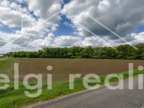 Prodej komerčního pozemku, Hrušovany nad Jevišovkou, Lidická, 14000 m2