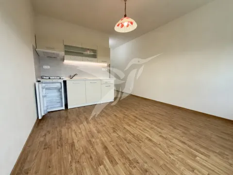 Pronájem bytu 1+kk, Plzeň, Boettingerova, 19 m2