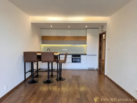 Pronájem bytu 2+kk, Mladá Boleslav, Na Radouči, 60 m2