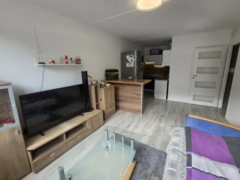 Prodej bytu 2+kk, Most, Františka Malíka, 40 m2