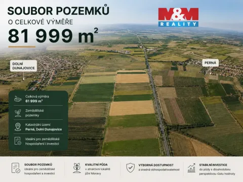 Prodej pole, Perná, 81999 m2