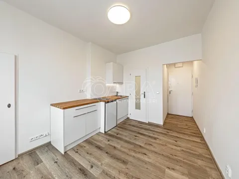 Pronájem bytu 1+kk, Praha - Nusle, V Horkách, 17 m2