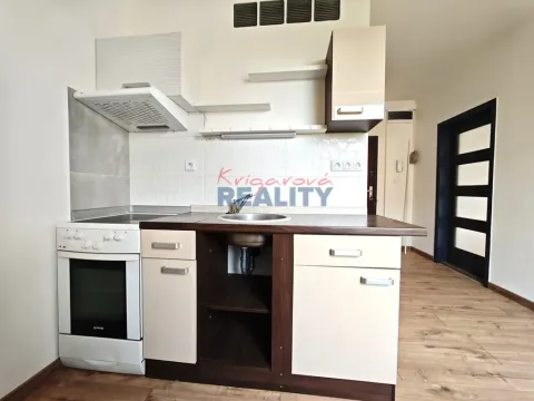 Pronájem bytu 1+1, České Budějovice - České Budějovice 2, Prachatická, 40 m2